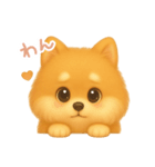 わんで伝えるポメラニアン JP（個別スタンプ：7）