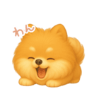 わんで伝えるポメラニアン JP（個別スタンプ：10）