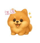 わんで伝えるポメラニアン TW（個別スタンプ：2）