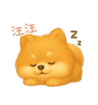 わんで伝えるポメラニアン TW（個別スタンプ：4）