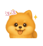 わんで伝えるポメラニアン TW（個別スタンプ：5）