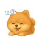 わんで伝えるポメラニアン TW（個別スタンプ：6）