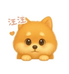 わんで伝えるポメラニアン TW（個別スタンプ：7）