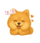 わんで伝えるポメラニアン TW（個別スタンプ：8）