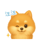 わんで伝えるポメラニアン TW（個別スタンプ：9）