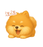 わんで伝えるポメラニアン TW（個別スタンプ：10）