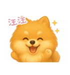 わんで伝えるポメラニアン TW（個別スタンプ：11）