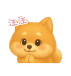 わんで伝えるポメラニアン TW（個別スタンプ：14）