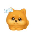 わんで伝えるポメラニアン TW（個別スタンプ：15）