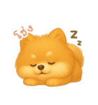 わんで伝えるポメラニアン TH（個別スタンプ：4）