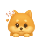 わんで伝えるポメラニアン TH（個別スタンプ：7）