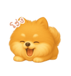 わんで伝えるポメラニアン TH（個別スタンプ：10）