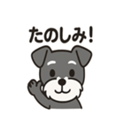ミニシュナのほっこりトーク（個別スタンプ：3）