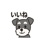 ミニシュナのほっこりトーク（個別スタンプ：10）