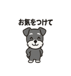 ミニシュナのほっこりトーク（個別スタンプ：11）