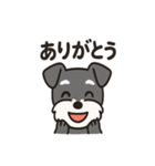 ミニシュナのほっこりトーク（個別スタンプ：12）
