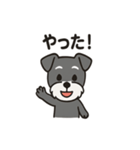 ミニシュナのほっこりトーク（個別スタンプ：13）
