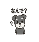 ミニシュナのほっこりトーク（個別スタンプ：17）