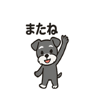 ミニシュナのほっこりトーク（個別スタンプ：20）