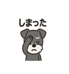 ミニシュナのほっこりトーク（個別スタンプ：21）