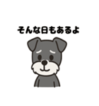 ミニシュナのほっこりトーク（個別スタンプ：24）