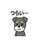 ミニシュナのほっこりトーク（個別スタンプ：25）