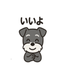 ミニシュナのほっこりトーク（個別スタンプ：26）