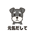 ミニシュナのほっこりトーク（個別スタンプ：36）
