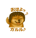 激画柴犬ガルルゥゥゥの日常②（個別スタンプ：1）