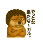 激画柴犬ガルルゥゥゥの日常②（個別スタンプ：3）