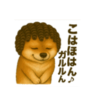 激画柴犬ガルルゥゥゥの日常②（個別スタンプ：6）