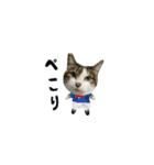 みじかちゃん達スタンプ（個別スタンプ：6）