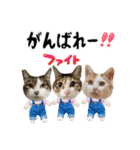 みじかちゃん達スタンプ（個別スタンプ：10）