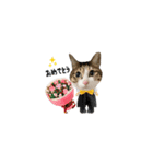 みじかちゃん達スタンプ（個別スタンプ：11）