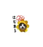 デビルちゃん達スタンプ（個別スタンプ：14）