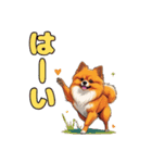 軽く使えるポメラニアンズ（個別スタンプ：5）