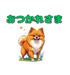 軽く使えるポメラニアンズ（個別スタンプ：6）