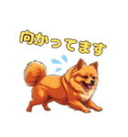 軽く使えるポメラニアンズ（個別スタンプ：7）