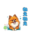 軽く使えるポメラニアンズ（個別スタンプ：9）
