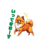 軽く使えるポメラニアンズ（個別スタンプ：10）