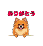 軽く使えるポメラニアンズ（個別スタンプ：11）