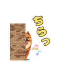 軽く使えるポメラニアンズ（個別スタンプ：15）