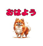 軽く使えるポメラニアンズ（個別スタンプ：16）