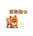 軽く使えるポメラニアンズ（個別スタンプ：17）