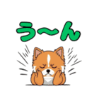 軽く使えるポメラニアンズ（個別スタンプ：19）