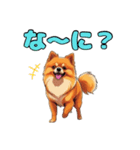 軽く使えるポメラニアンズ（個別スタンプ：22）
