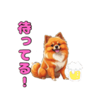 軽く使えるポメラニアンズ（個別スタンプ：23）