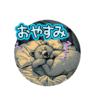 ちょっと怖め 熊とあそぼ！（個別スタンプ：1）