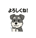 かわいいミニチュアシュナウザーのスタンプ（個別スタンプ：2）