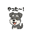 かわいいミニチュアシュナウザーのスタンプ（個別スタンプ：5）